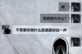 追讨债务如何立案：全面指南与案例分析