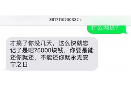 讨债公司非法拘禁案例分析：法律与人性的冲突